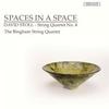 David Stoll - String Quartet No.4 �Spaces in a Space�