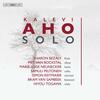 Aho - Solo Vol.1