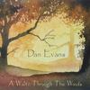 Dan Evans - A Waltz Through the Woods