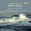 W Busch - Chamber Music