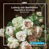 Beethoven - Bagatelles & Variations