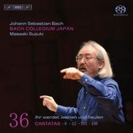 J S Bach - Cantatas Vol.36