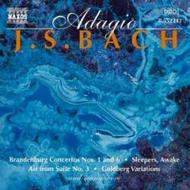 Bach - Adagio | Naxos 8552242