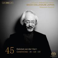 J S Bach - Cantatas Vol.45