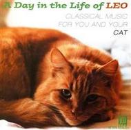 A Day in the Life of Leo: Classical Music for You and Your Cat