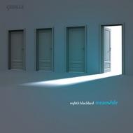 Eighth blackbird: Meanwhile | Cedille Records CDR90000133
