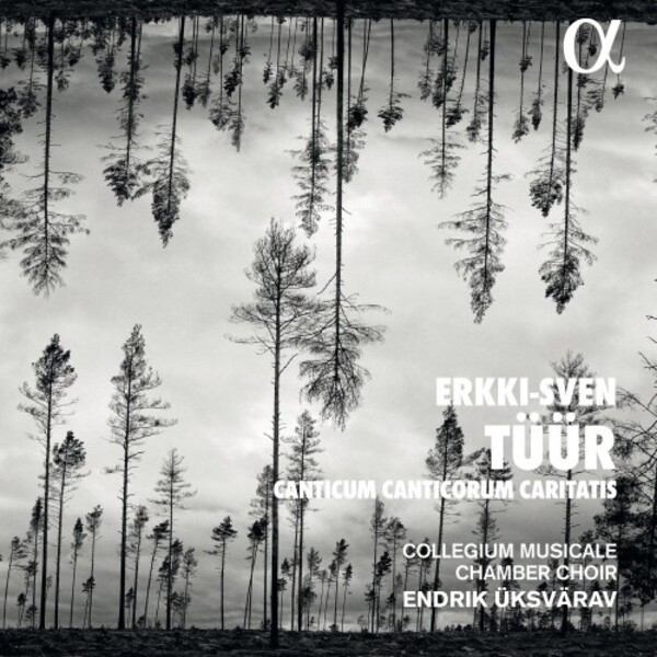 Tuur - Canticum Canticorum Caritatis | Alpha ALPHA917