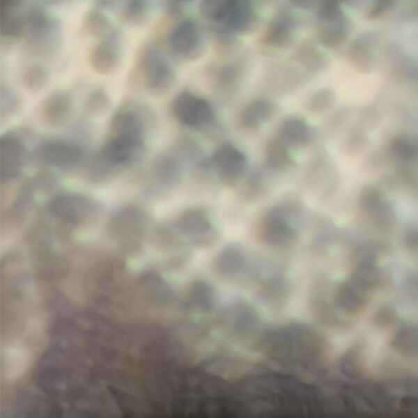 Cipa - Ourselves, as we are