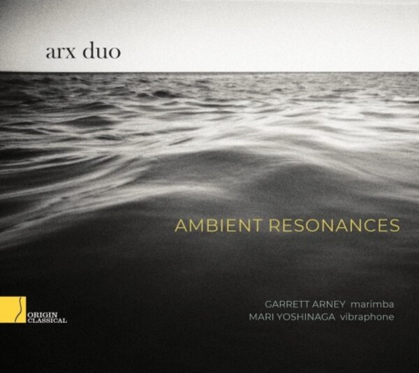 Ambient Resonances: Klatzow, Seo, Honstein