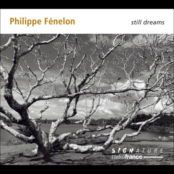 Fenelon - Still Dreams