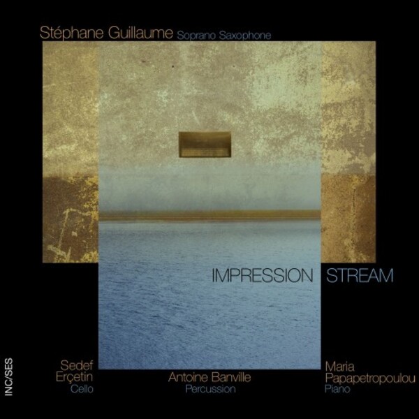Stephane Guillaume: Impression Stream | Incises INC007