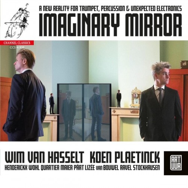 Art uur, Wim Van Hasselt, Koen Plaetinck - Imaginary Mirror