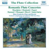 Romantic Flute Concertos
